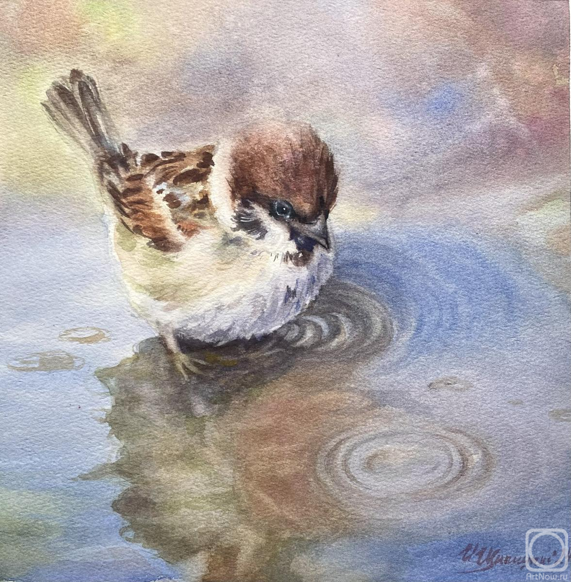 �������. �������� �����. ���������