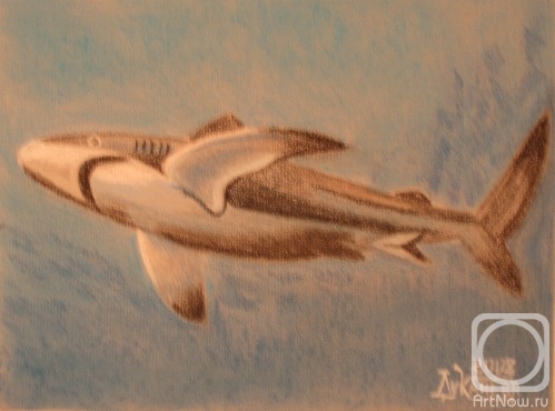 �������. �������� ������. ��������