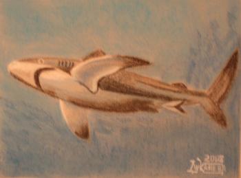 ������� ���������