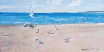 Beach in the village of Komarovo