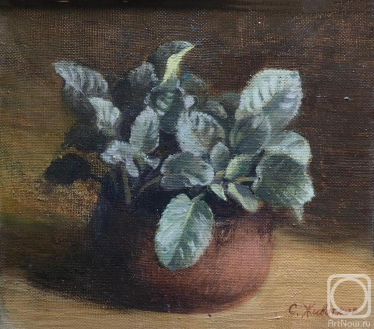 ������� ������ �� ������. �������� ������. ������