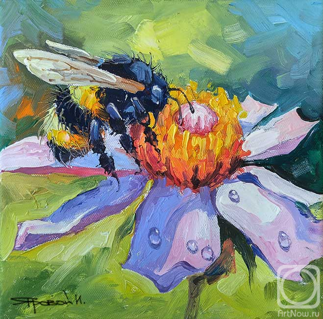 ������� ������ �� ������. ������ �����. ��������� ���