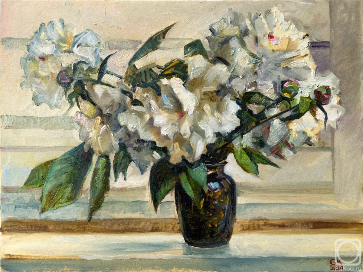 ������� ������ �� ������. ������ ����. �����. 08.06.2024