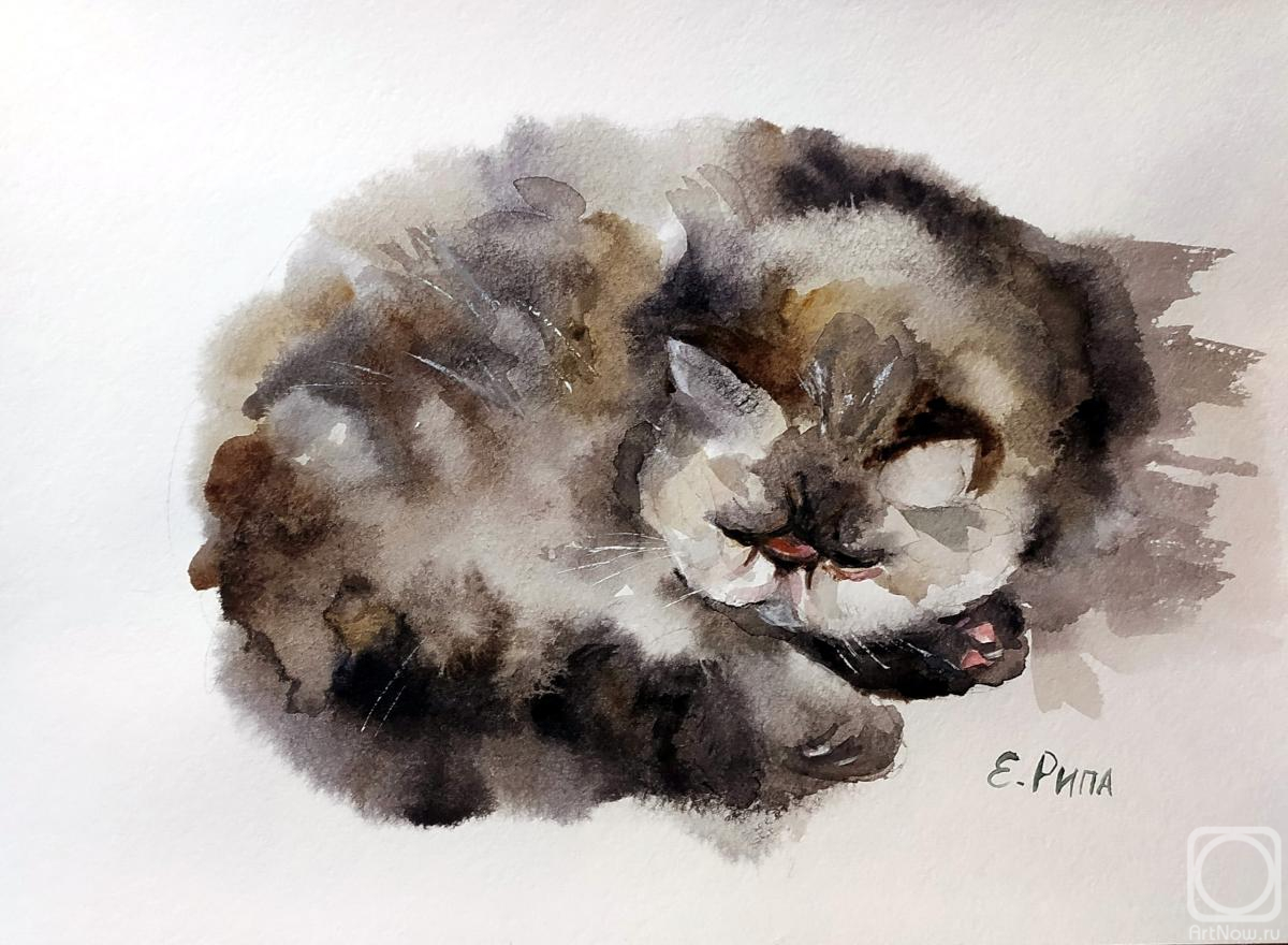 �������. ���� �����. ������� ���