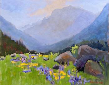 Cheget Glade. Zhukova Marina