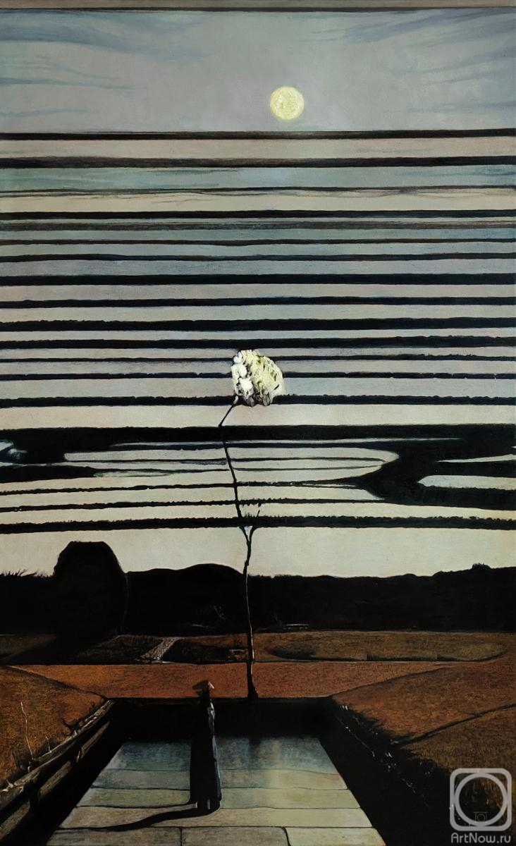 Pavlova Olga. Unseen desire