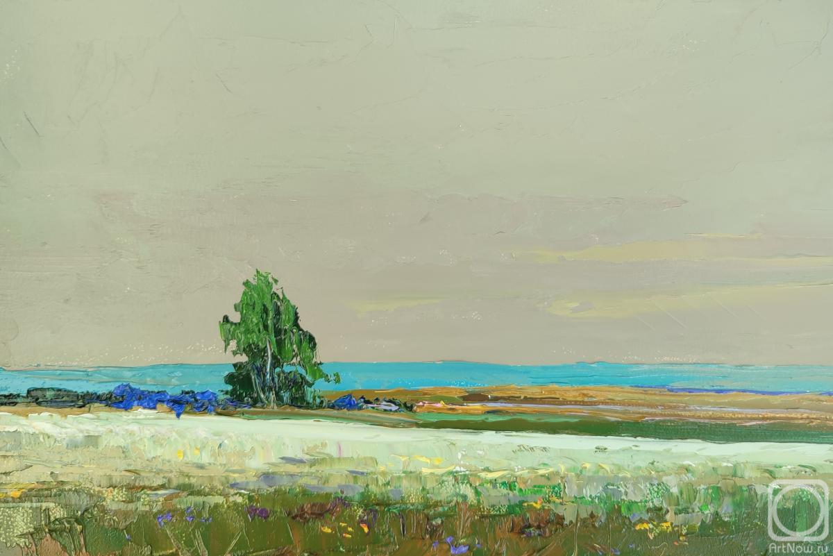 �������. ���������� �������. ������� ����