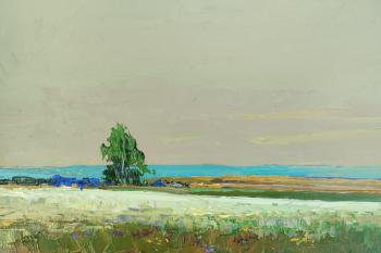 ������� ����. ���������� �������