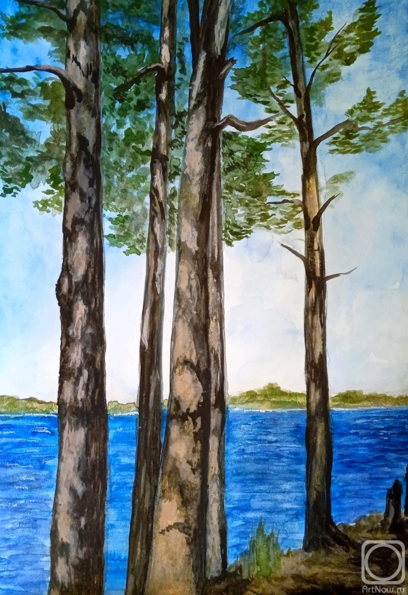 �������. ��������� �������. ������ ����� �� ������� ����������