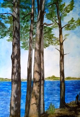 ������ ����� �� ������� ����������. ��������� �������