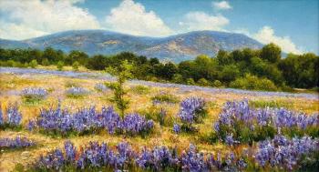 ����. �������� �������. ��� �� ��������. ���������� ��������