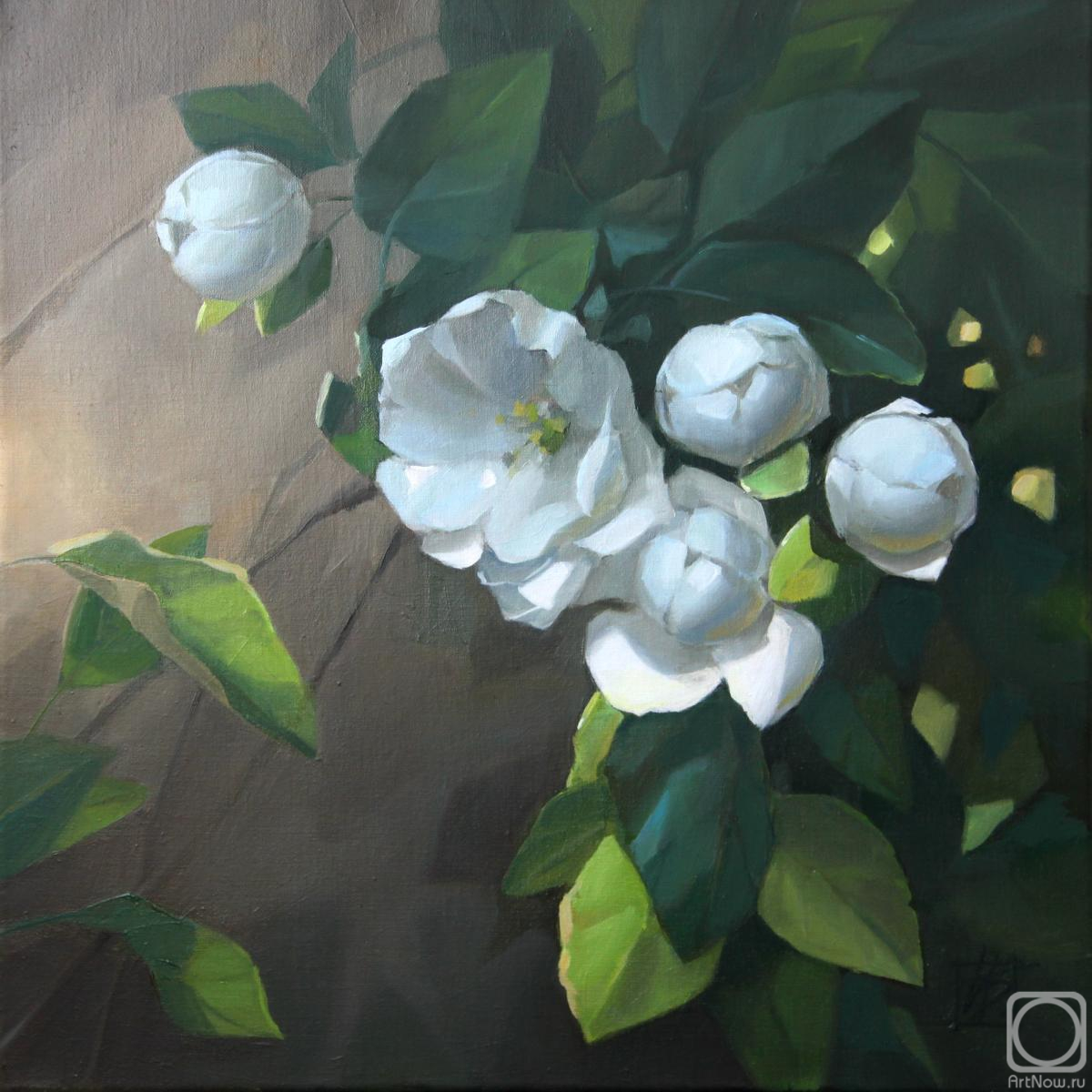 Bogdanova Irina. Apple blossoms 1