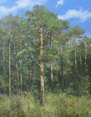 ������� ������� �����������