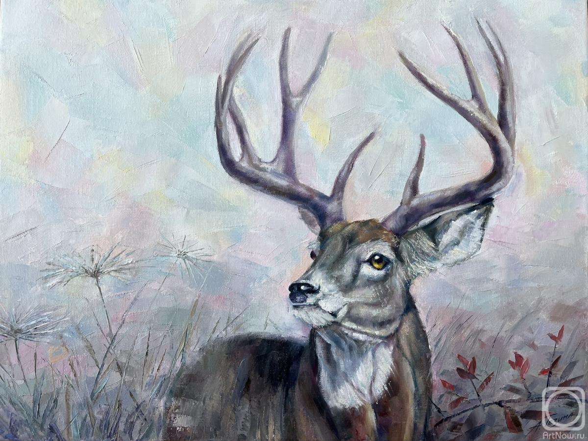 ������� ������ �� ������. ������ ����. ����������� �����