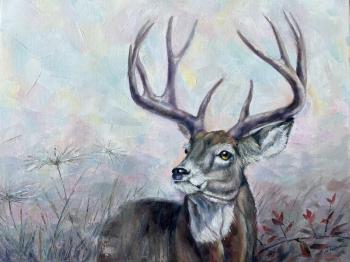 ������� ������������ ������