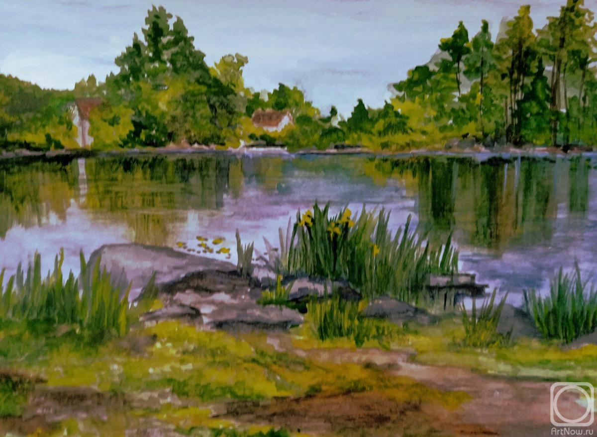 Khubedzheva Nataliya. Morning on Vuoksi