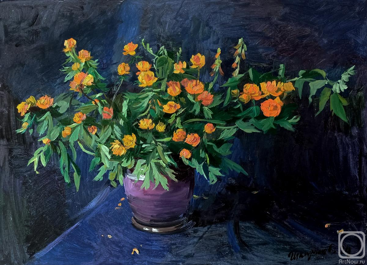 �������. �������� ������. �������