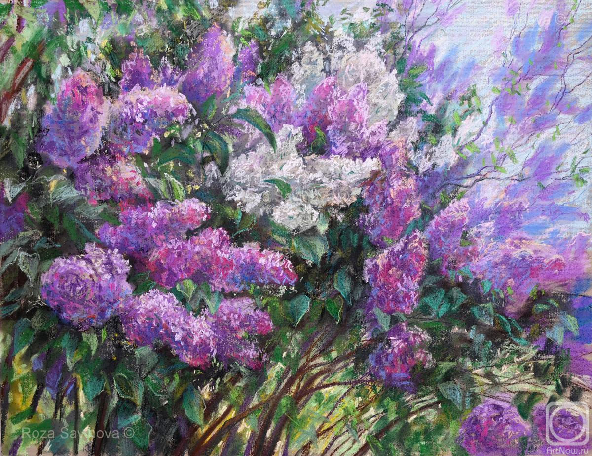Savinova Roza. Lilac blooms