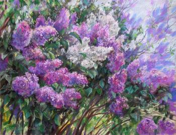 ������� ������� �����