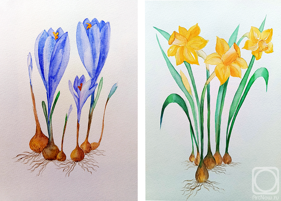 �������. ��������� �������. ��������