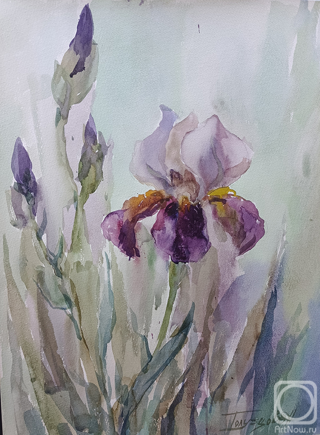 �������. ��������� �������. �����