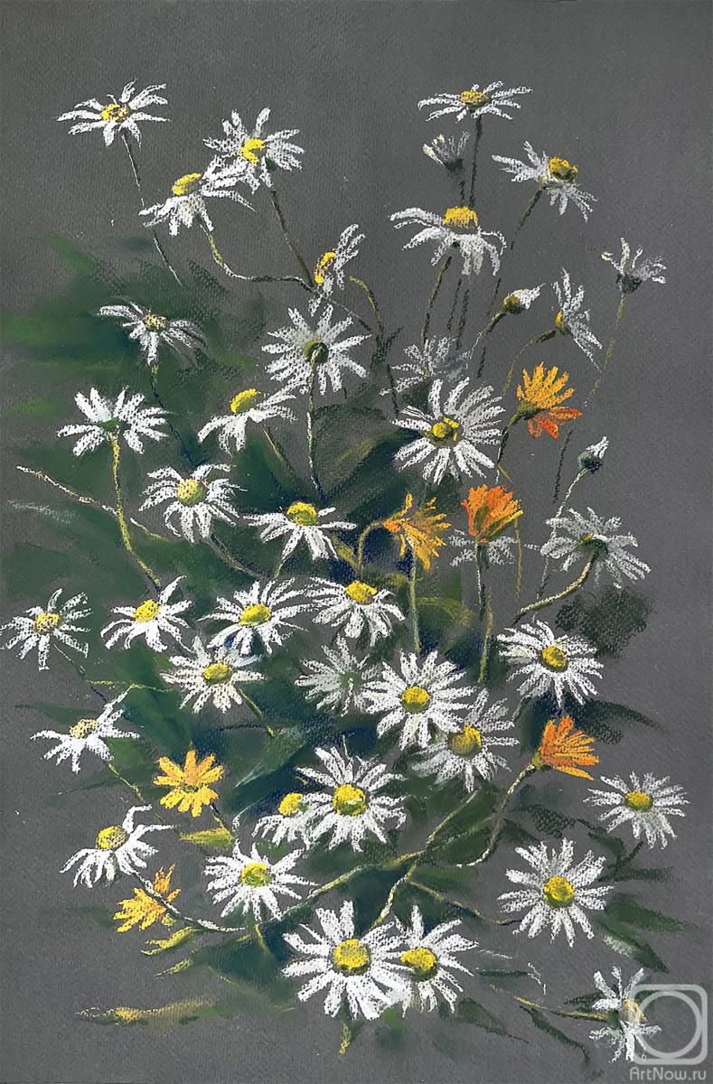 Schemeleva Alisa. Chamomile bush