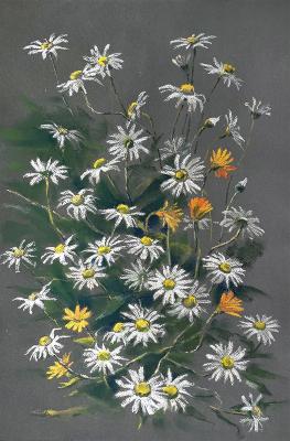 Chamomile bush. Schemeleva Alisa
