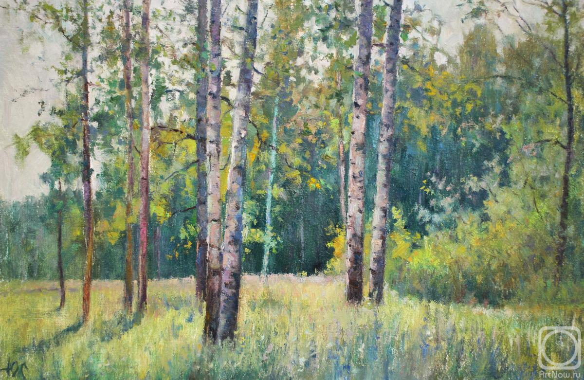 Sapozhnikov Yura. Summer has come