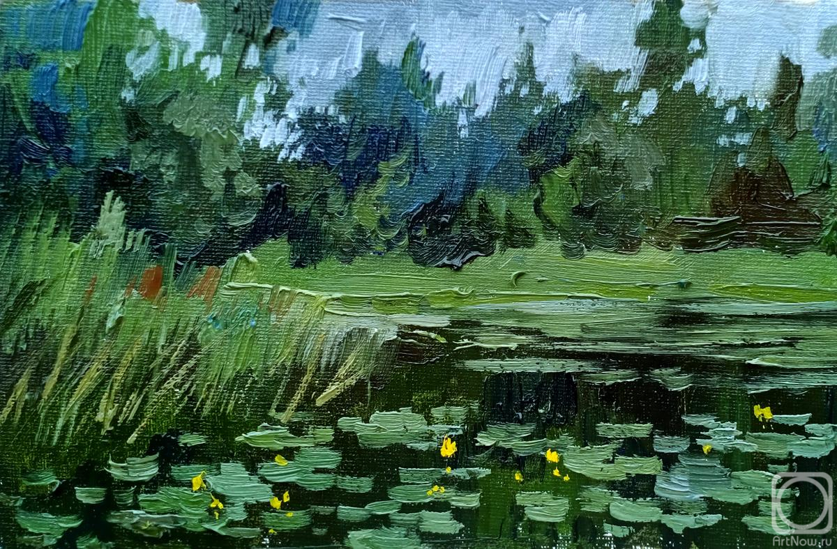 ������� ������ �� ������. ���������� �������. ������ ����