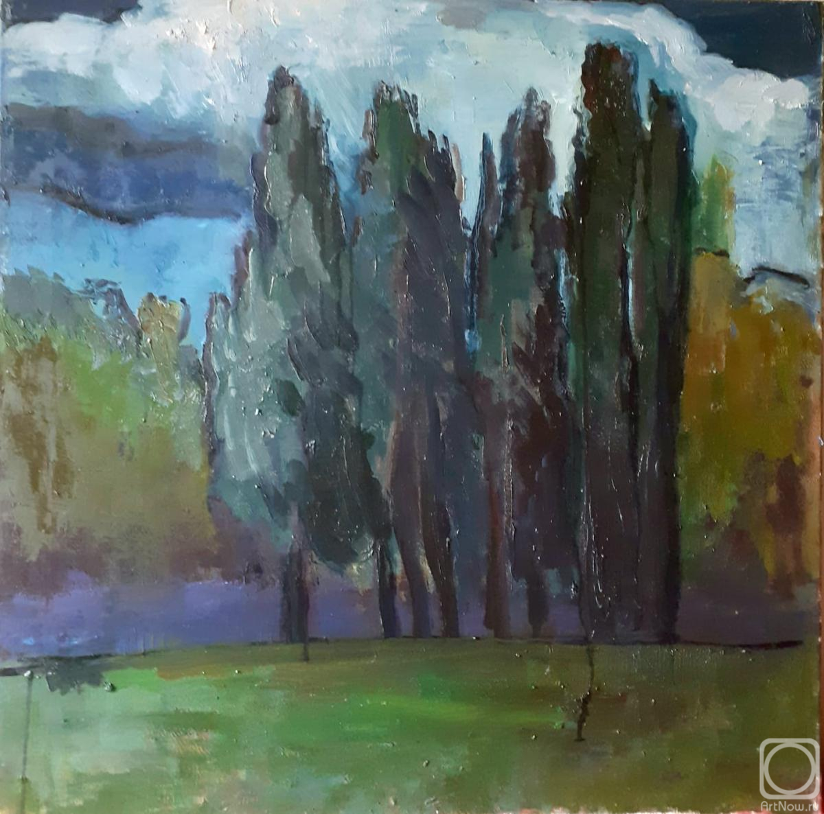 ������� ������ �� ������. ������������ �������. ������ ����. ������