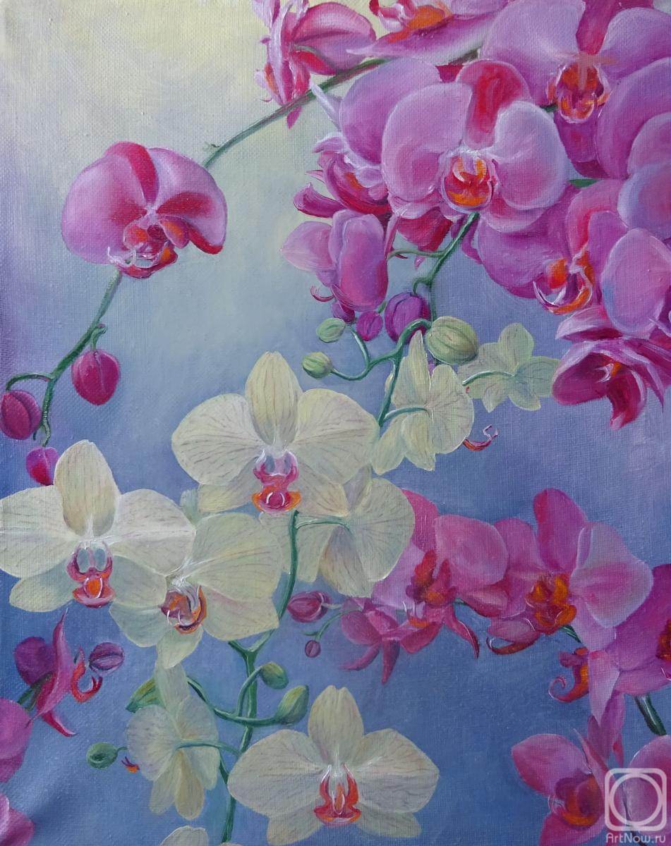 ������� ������ �� ������. �������� ��������. �������