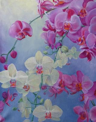 ������� (������� � ���������). �������� ��������