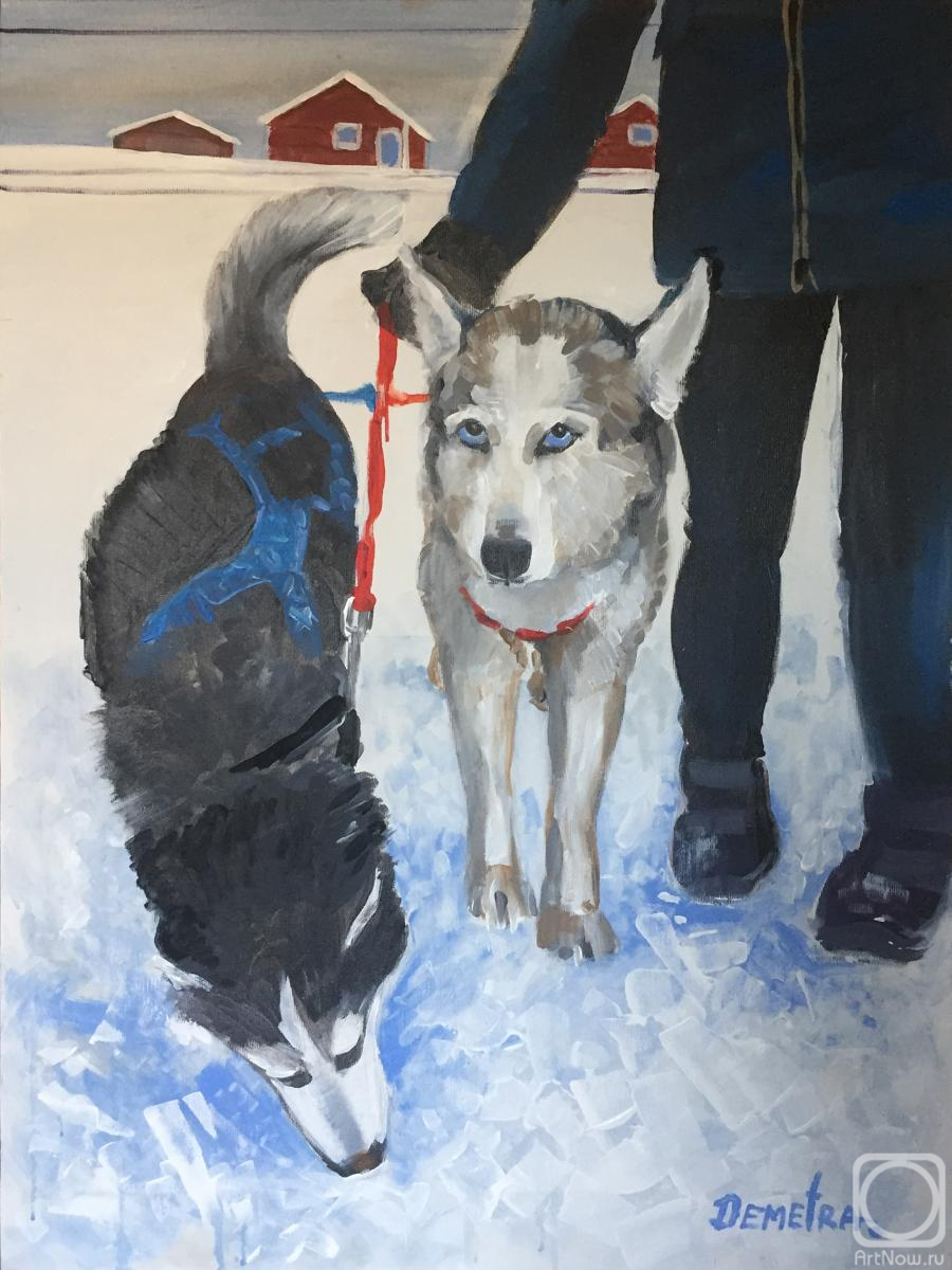 �������. �������� �������. ����� (������� ) ���������. (����� ������� �����)