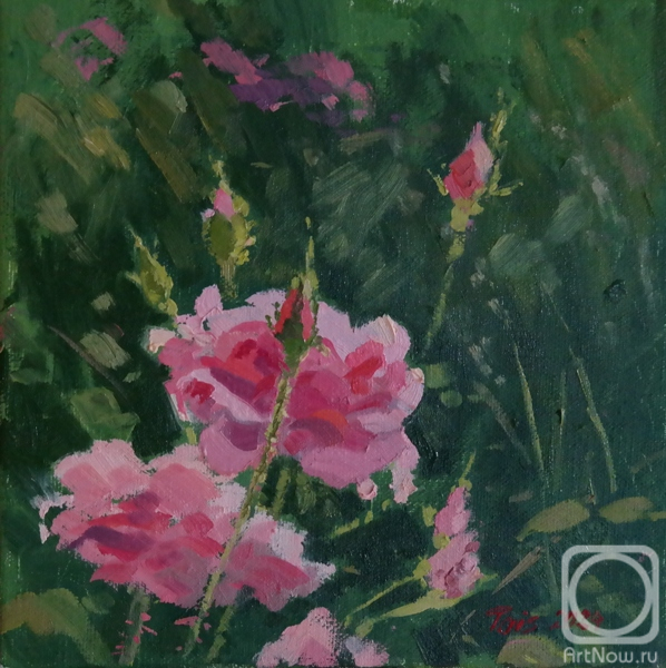 Shirobokova Taisiya. A July day smells like roses