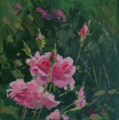 ������� ��������� ���� ������ ������