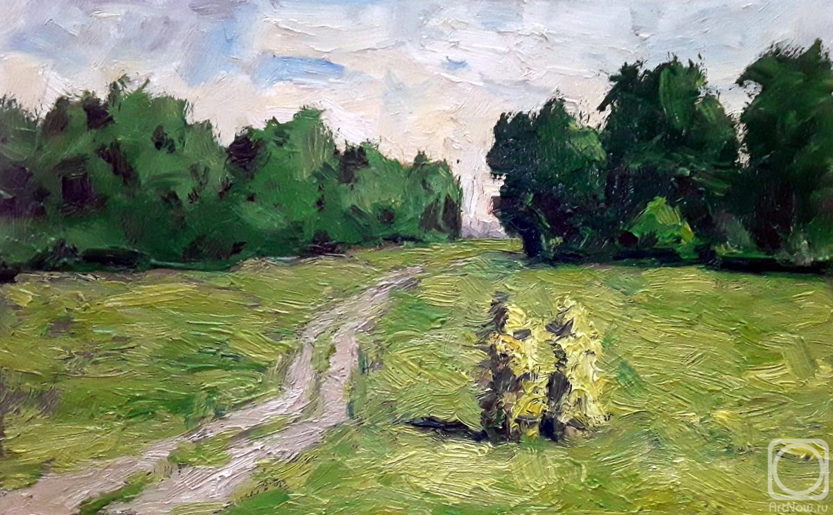 Knecht Aleksander. Road through the meadow