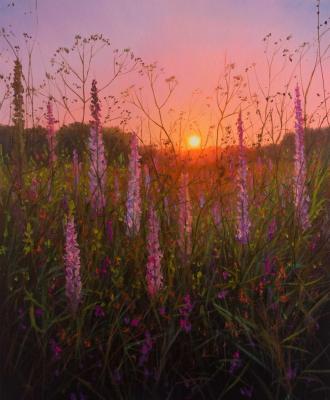 ������� �������� ������