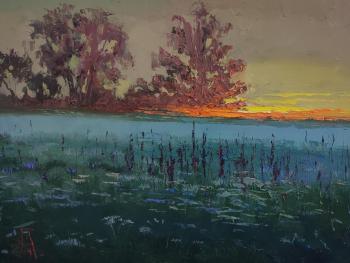 Among the unmown meadows. Golovchenko Alexey