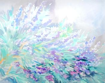 Lavender in the morning light