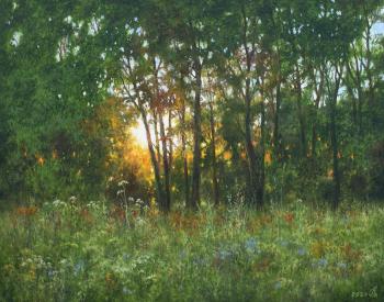 ������� �������� �����