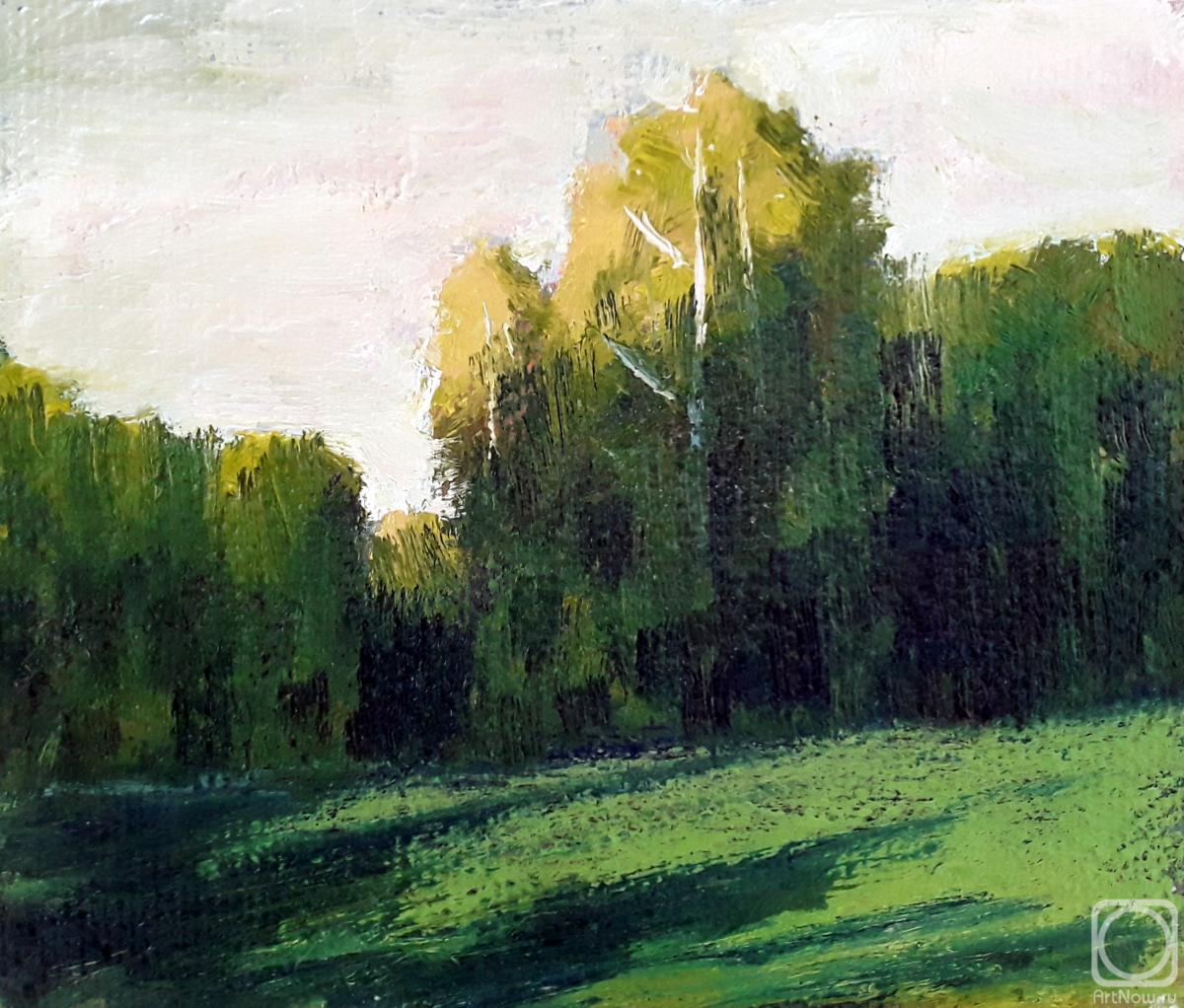 Knecht Aleksander. In the last rays