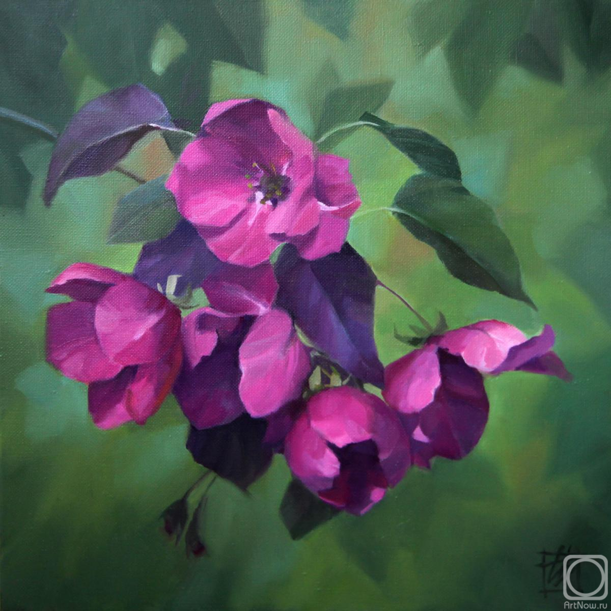Bogdanova Irina. Purple flowers (Nedzvetsky apple tree)