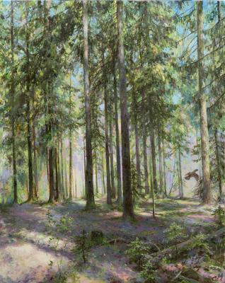 Capercaillie in the pine forest. Sergeev Oleg