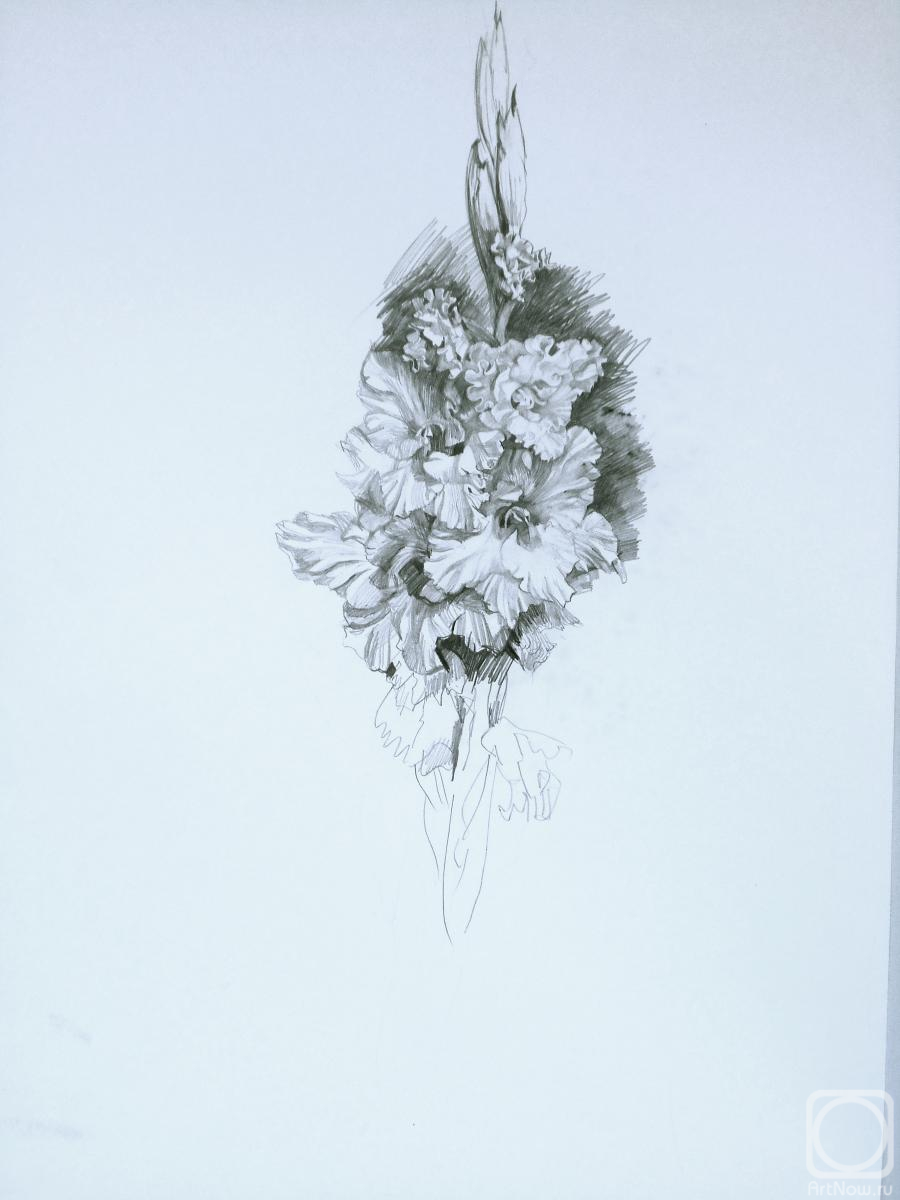 �������. �������� ������. ���������