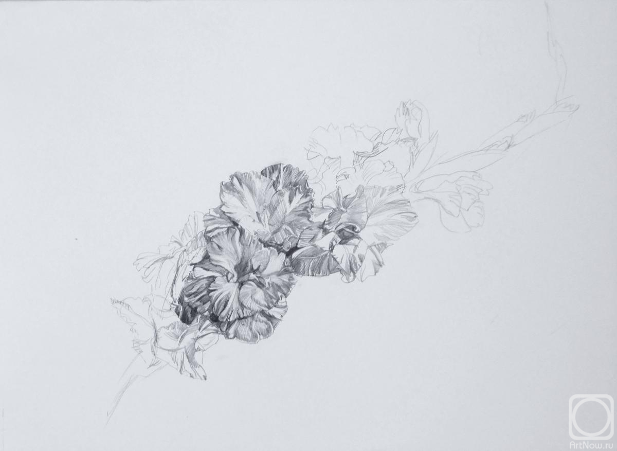 �������. �������� ������. ��������� "�����������"