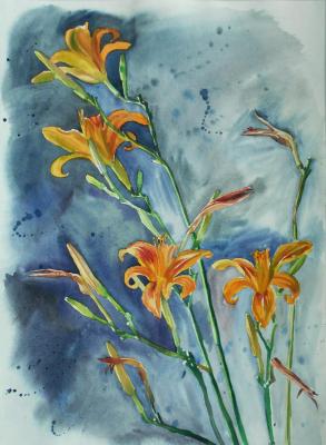 ������� ���������