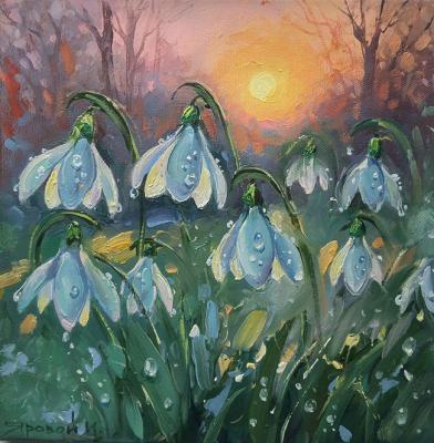 Snowdrops and the sun