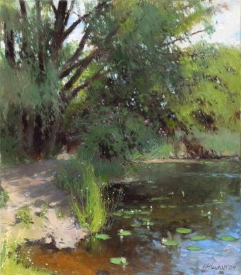 Shade willows