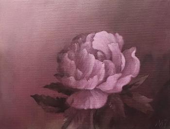 Peony. Zozoulia Maria