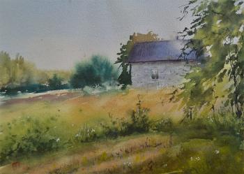 The village of Zeleni. Hot evening